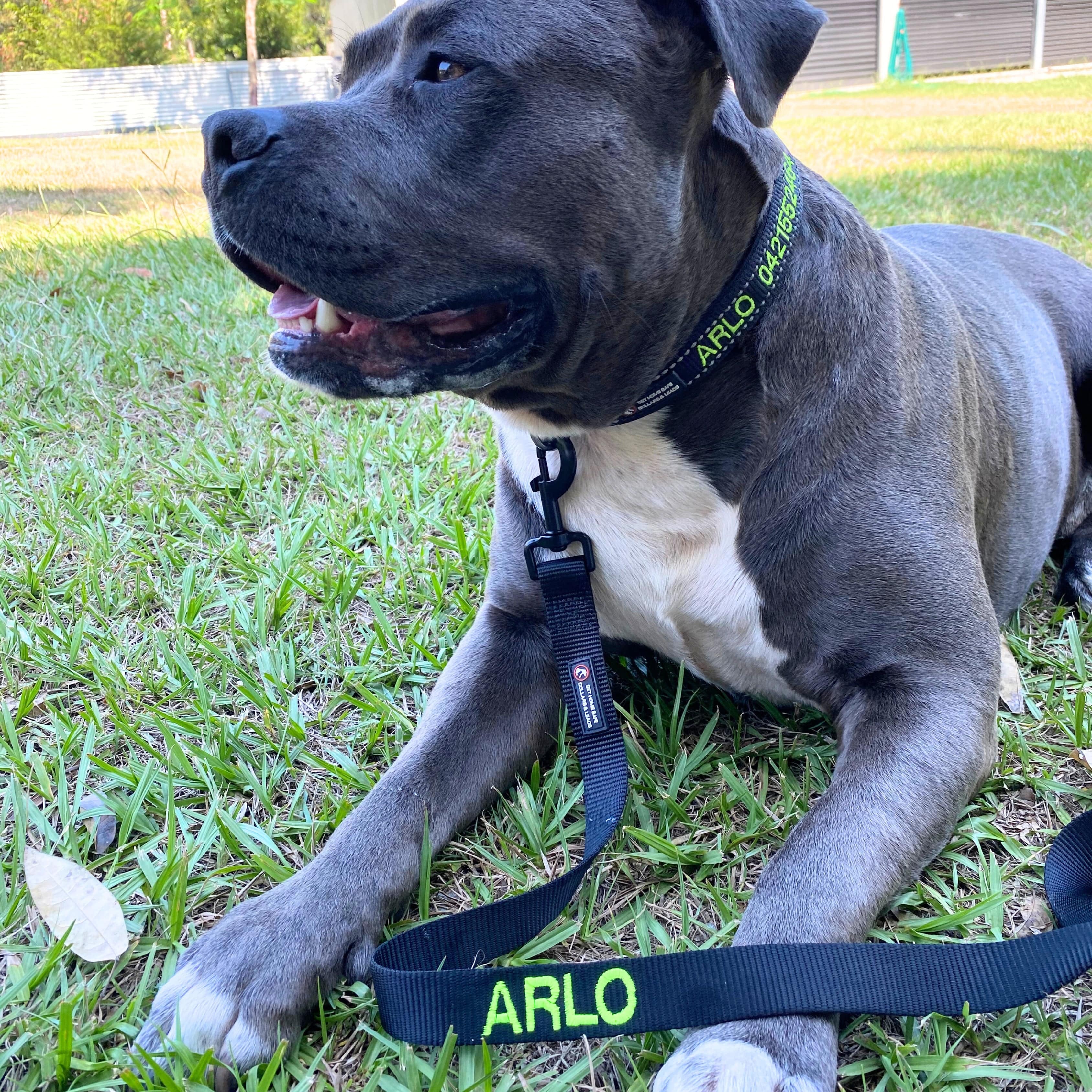 Leads Dog ID Lead - Australian Made